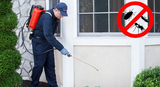 Abana Kemirgen İlaçlama böcek ilaçlama ve haşere kontrolü — ilaclama-tr.com
